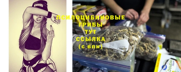 2c-b Касимов