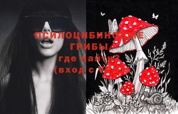 круглые Карпинск