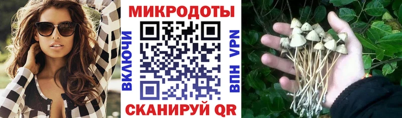 Псилоцибиновые грибы Psilocybine cubensis  Купить закладки  Балашов 